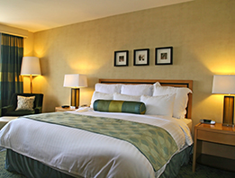 hotels